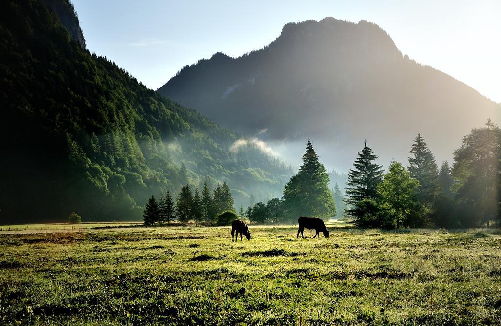 Boeld Oberammergau